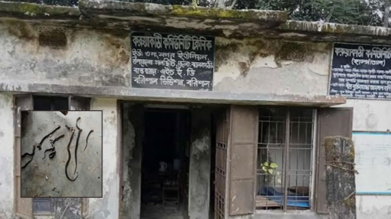 ঝালকাঠির কমিউনিটি ক্লিনিকে মিলল সাপ